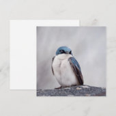 Blue Bird (Front/Back)