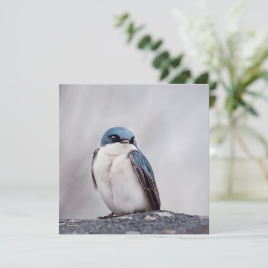 Blue Bird (Standing Front)
