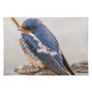 Blue Bird, Barn Swallow, Canadian Avian Cloth Placemat