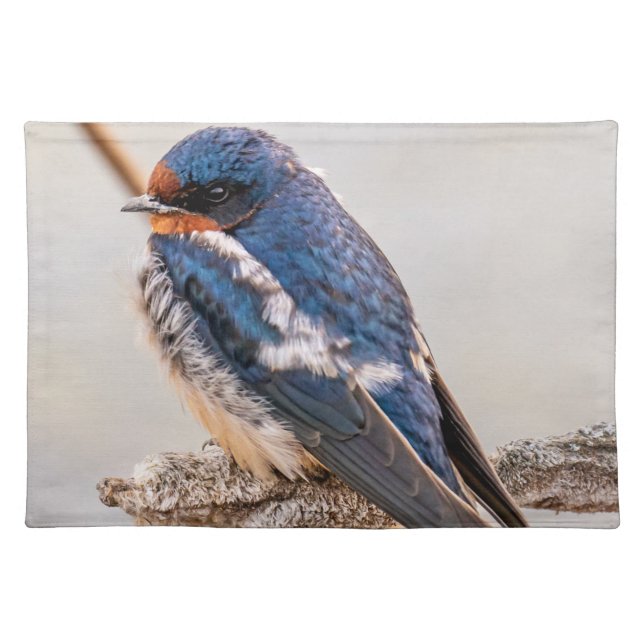 Blue Bird, Barn Swallow, Canadian Avian Cloth Placemat (Front)