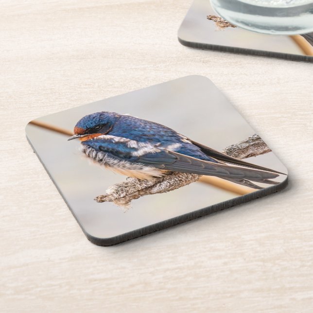 Blue Bird, Barn Swallow, Canadian Photography Beverage Coaster (Left Side)
