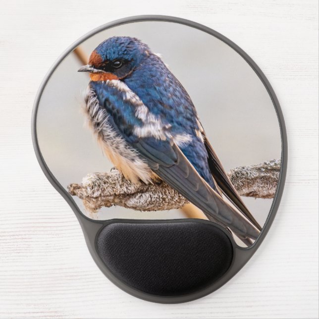 Blue Bird, Barn Swallow, Canadian Photography Gel Mouse Pad (Front)