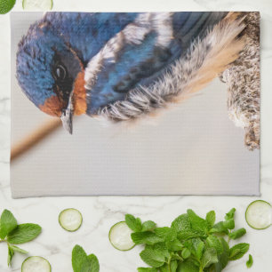 Blue Bird, Barn Swallow, Canadian Photography Kitchen Towel