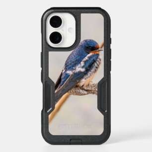Blue Bird, Barn Swallow in Flight iPhone 16 Case