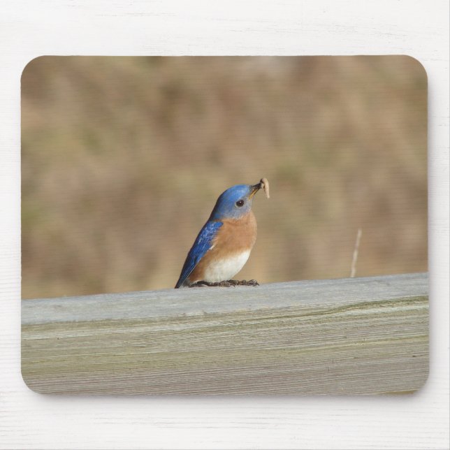 Blue Bird Breakfast Mouse Pad (Front)