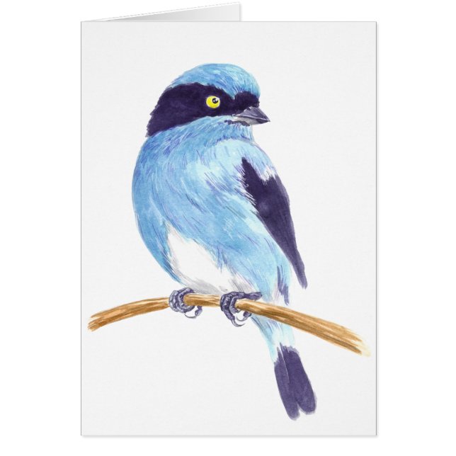 Blue bird cards (Front)