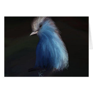 BLUE BIRD CARDS