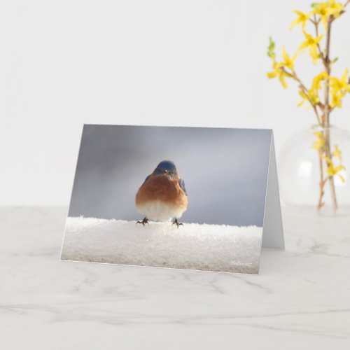 Blue Bird Folded Greeting Card