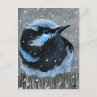 Blue bird in snow POSTCARD