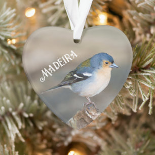 Blue bird Madeira Chaffinch (Fringilla maderensis) Ornament