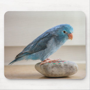 Blue Bird Mouse Pad