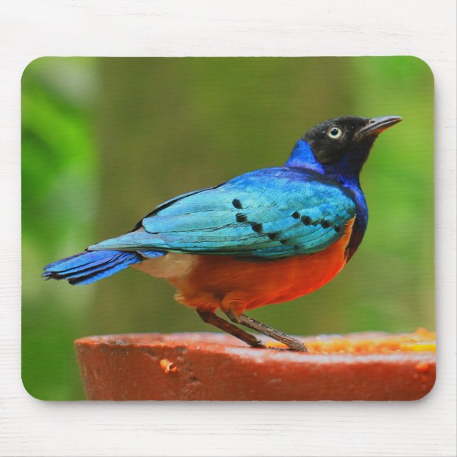 Blue Bird Mousepad (Front)
