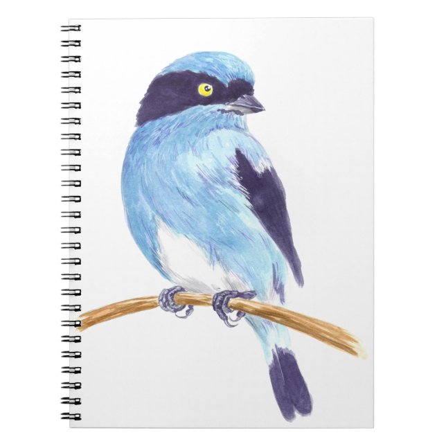 Blue bird notebook (Front)