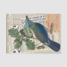 Blue Bird | Oak Ephemera Decoupage Vintage Collage