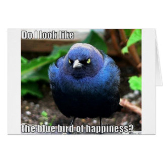 blue bird of happiness cards