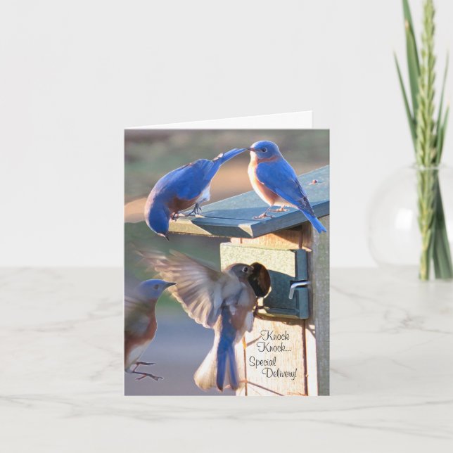 Blue bird of happiness letterpress thank you card (Front)