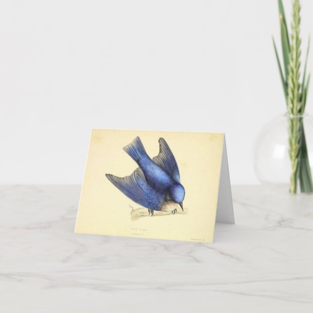 Blue Bird of Happiness Thank You Card (Front)