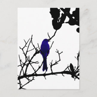 Blue bird on black tree postcard