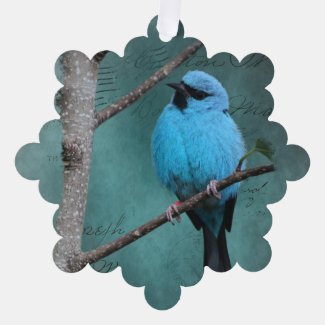 Blue Bird on Branch Mixed Media