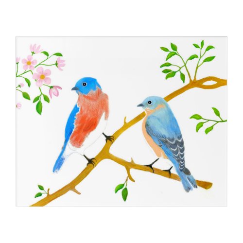 Blue Bird Pair Acrylic Print