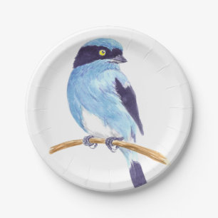 Blue bird paper plates