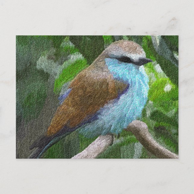 Blue Bird Postcard (Front)