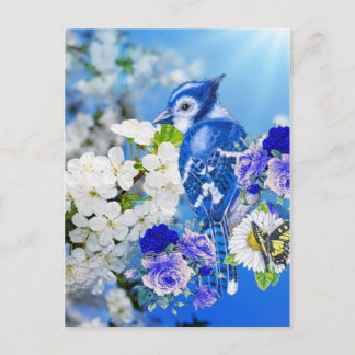 blue bird postcard
