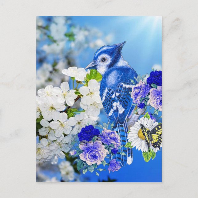 blue bird postcard (Front)