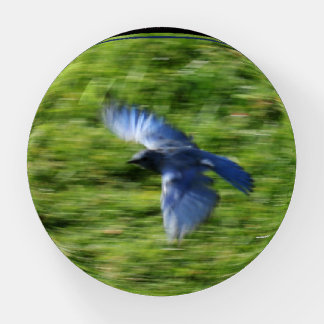 Blue bird soaring across a green pasture. paperweight