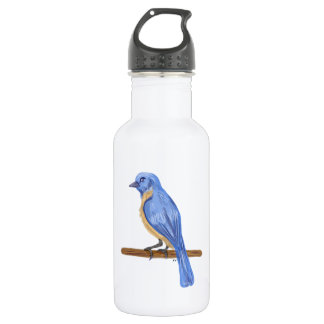 Blue Bird Stainless Steel Water Bottle