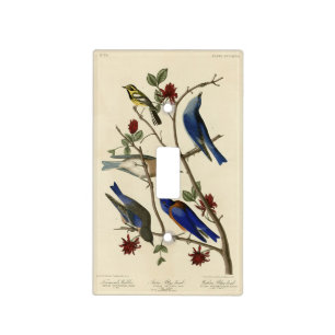 Blue-birds and Warbler, Audubon's Birds of America Light Switch Cover