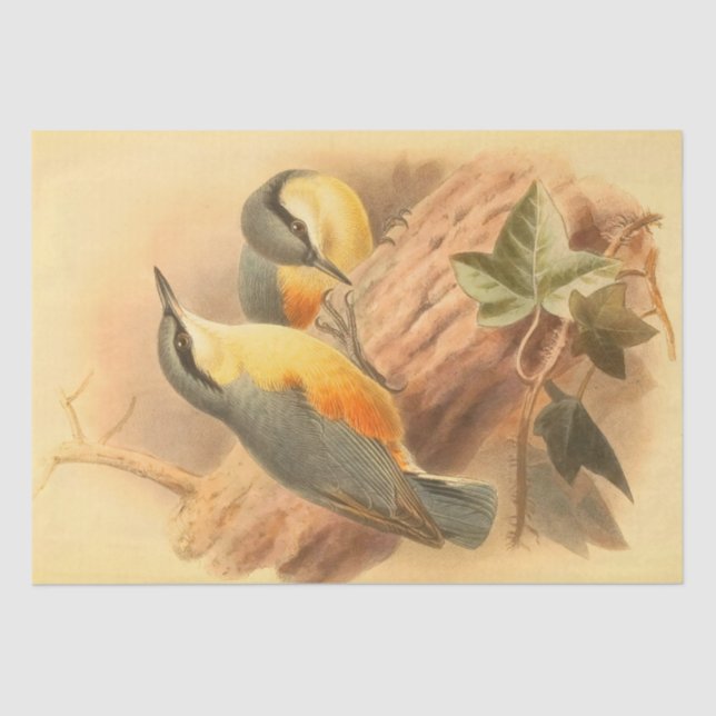 Blue Birds Beautiful Vintage Decopage Tissue Paper (Front)