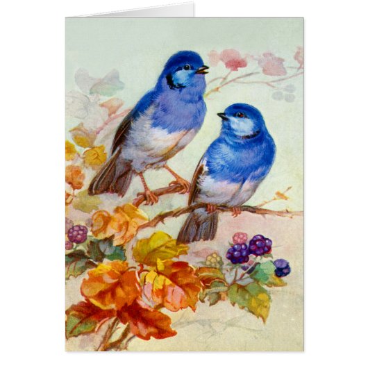 Blue birds cards (Front)