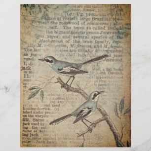Blue Birds & Dictionary Scrapbook Paper