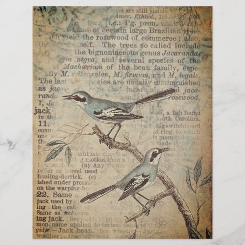 Blue Birds  Dictionary Scrapbook Paper