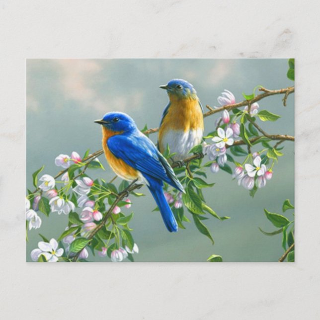 Blue Birds Postcard (Front)