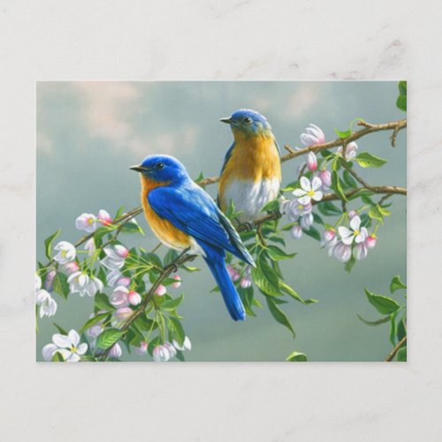 Blue Birds Postcard