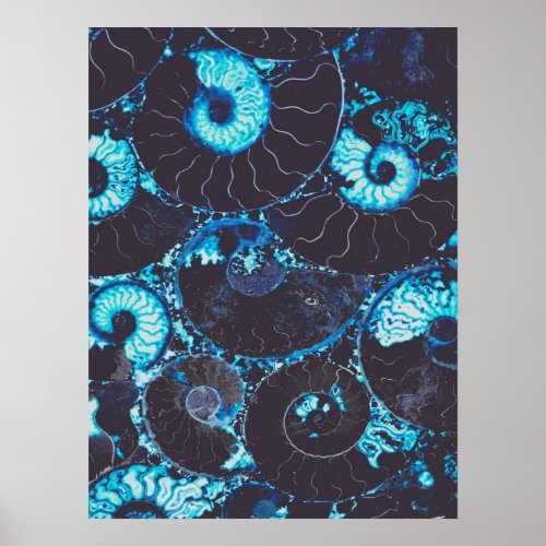 Blue black Nautilus shell pattern scared geometry Poster