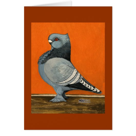 Blue Blondinette Pigeon Cards (Front)