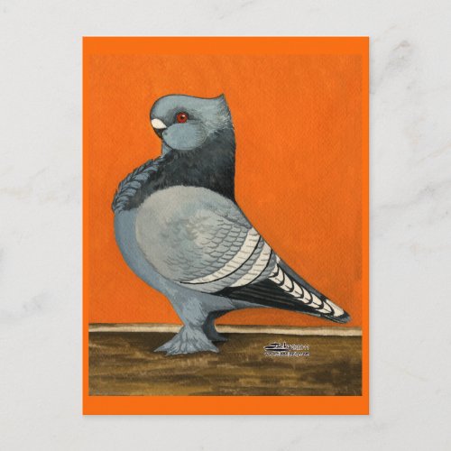 Blue Blondinette Pigeon Postcard