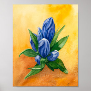 “Blue Bloom” by Ramedious – Watercolor Floral Art Poster