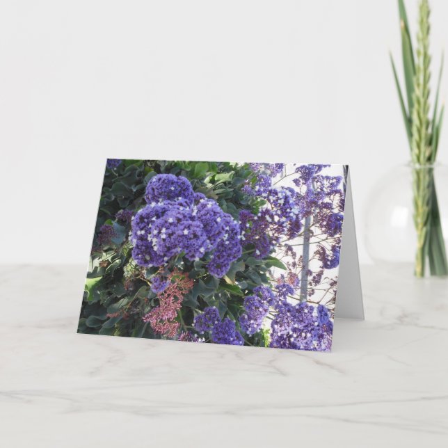 Blue Bloom White Stars Birthday Card (Front)