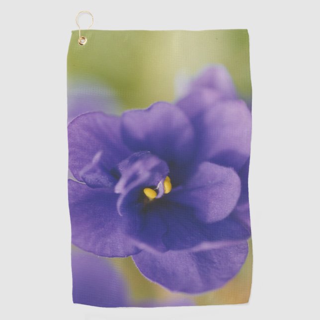 Blue Blooming Flower of Violet Saintpaulia Zoomed Golf Towel (Front)