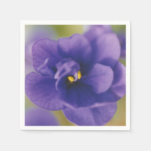 Blue Blooming Flower of Violet Saintpaulia Zoomed Napkins