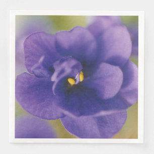Blue Blooming Flower of Violet Saintpaulia Zoomed Paper Dinner Napkins