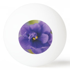 Blue Blooming Flower of Violet Saintpaulia Zoomed Ping Pong Ball