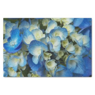 Blue Blossoms Floral Tissue Paper