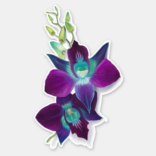 Blue Bom Dendrobium Orchid Flower Kiss_cut Sticker