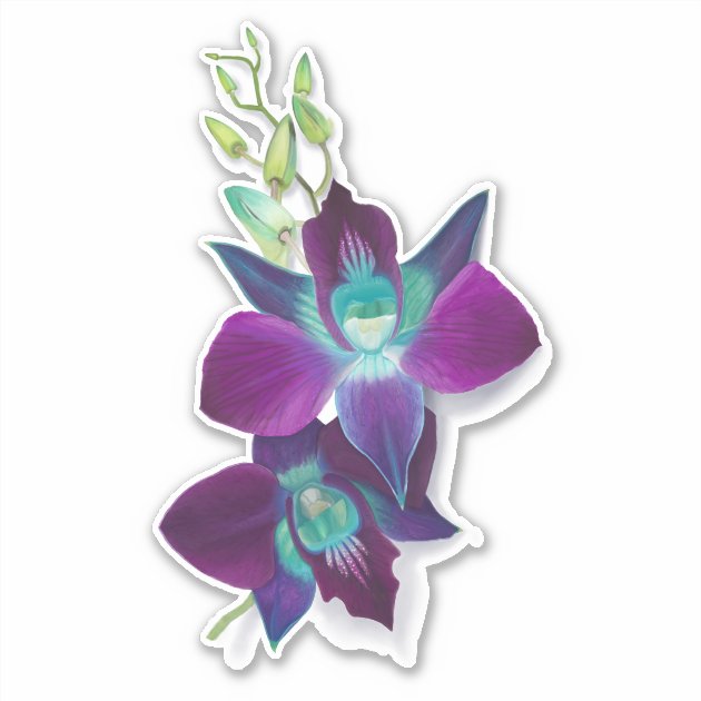 Blue Bom Dendrobium Orchid Flower Kiss-cut Sticker | Zazzle