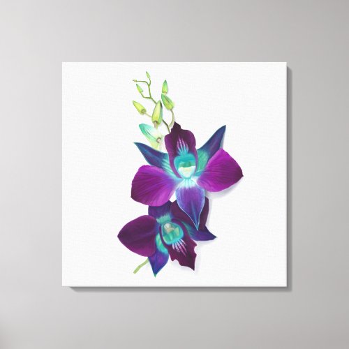 Blue Bom Dendrobium Orchid Painting Canvas Print